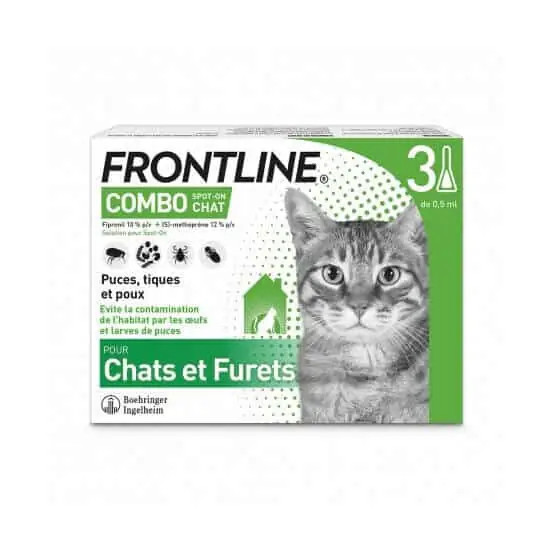 Frontline Combo Chat | Bien noté