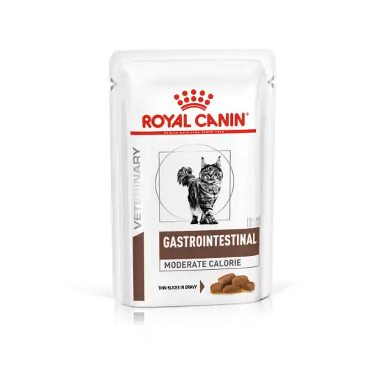 À ne pas manquer - Royal Canin Cat Gastrointestinal Moderate Calorie