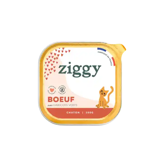 Livraison express | Ziggy Chaton Boeuf Pâtée