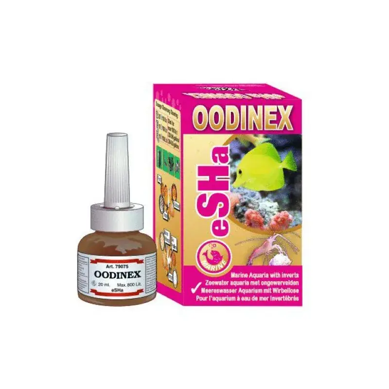 Achetez dès aujourd'hui - Esha Oodinex