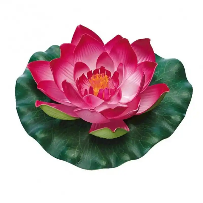 Pontec - Nénuphar PondoLily pour Bassin - Rouge - Offre spéciale