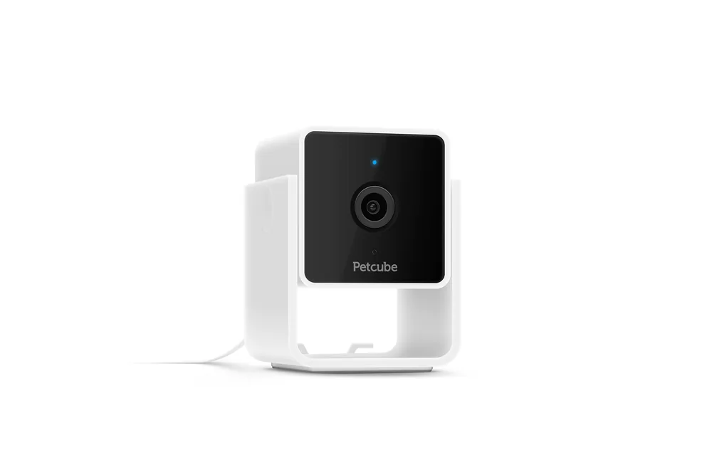Petcube - Petcube Pet Cam pour Chiens et Chats - x1 | Disponible dès maintenant