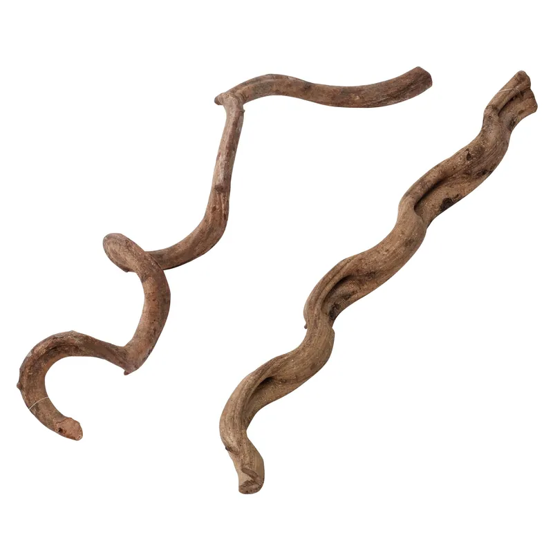 Terra Della - Décoration Lianes pour Terrarium - S/75cm | Très apprécié des clients