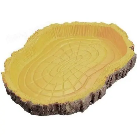 Disponible dès maintenant - Reptile Tortue Eau Plat Bol à Nourriture Piscine pour Tortue Reptiles Gecko Serpents Goutte Livraison