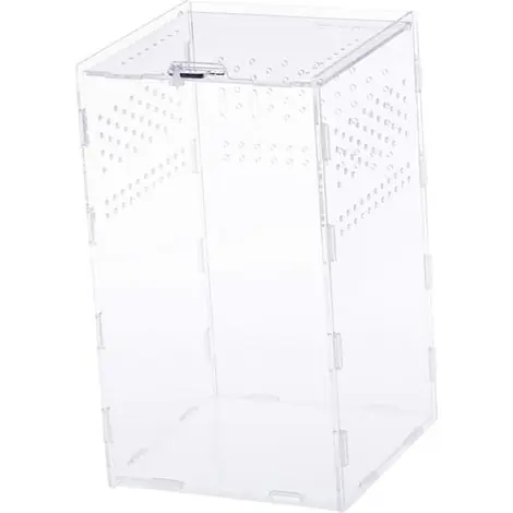Boîte d‘élevage transparente en acrylique pour reptiles et insectes, nid d‘alimentation, conception respirante, matériau transparent, 12 x 8 x 6 cm | Tout juste disponible