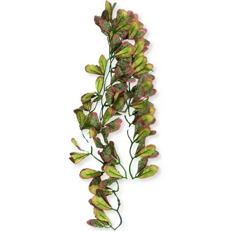 Offre exceptionnelle | Plante suspendue Repti-Zoo lierre rouge 40 cm