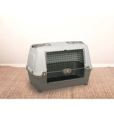 Prix avantageux | Dmora – Cage de transport rigide pour chiens et chats – Polypropylène antichoc – Dimensions 76x45x54 cm – Tapis lavable – 100% recyclable