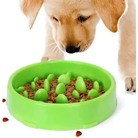 Réduction - Gamelle d‘alimentation Lente pour Chiens, Slow Feeding Conception Anti-dérapante Fun Interactive Nourrir Les Chats et Les Chiens pour Bol, Favorise Une Alimentation Saine (Vert)