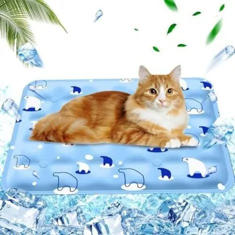 Aujourd'hui seulement | Tapis Coussin rafraichissant pour chien Injection d‘eau,Tapis Refroidissement chat Matelas, Tapis rafraîchissant pour Animaux de Compagnie Matelas, Ours polaire bleu clair, 40x50cm, M