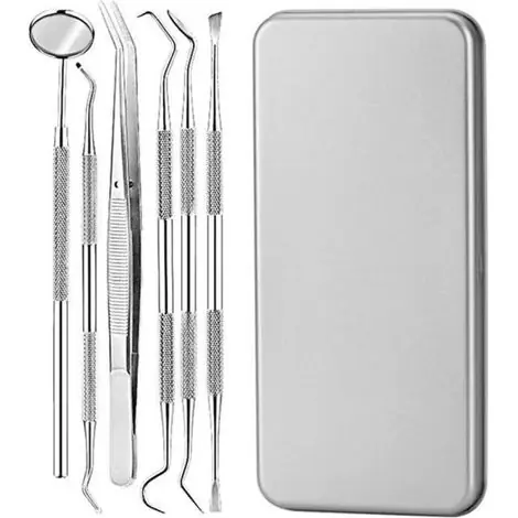 Prix usine | Détartreur, kit de soins dentaires, nettoyage des dents, détartreur pour chien, sonde dentaire, miroir buccal et détartreur en acier inoxydable