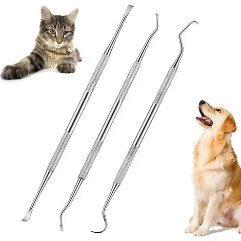 Dernières unités - Outil de Nettoyage des Dents pour Animaux, 3 Pièces Acier Inoxydable Outil de Nettoyage des Dents pour Animaux, Nettoyant Dents De Chien, Kit D‘hygiène Dentaire