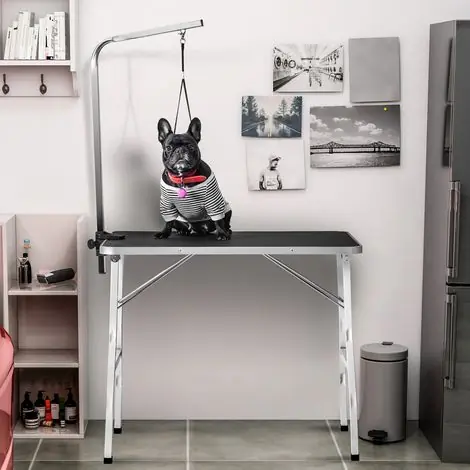 Produit tendance - Table de toilettage professionnelle pour animaux, table de coupe de poils, bras ajustable et portable, incluant une laisse, convient aux animaux de compagnie de petite à moyenne taille. Dimensions 9