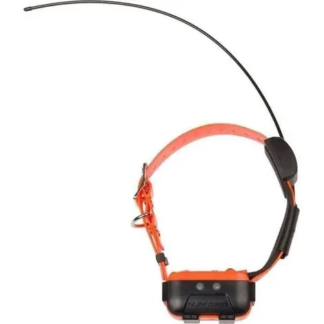 Livraison rapide | Collier GPS pour chien noir/orange – Suivi en temps réel – Conception robuste et ergonomique – Multi-chiens – Facilité d‘utilisation – Num‘Axes