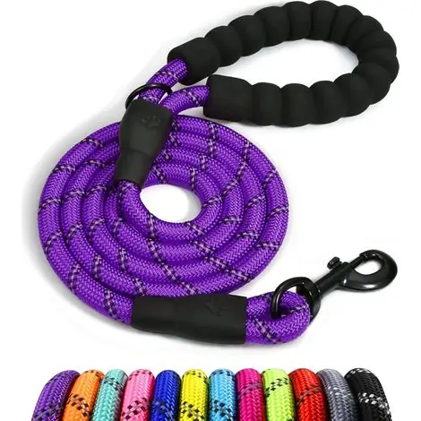 Chien Corde, Laisse pour Chien en Nylon avec Poignée Rembourrée Douce et des Fils réfléchissants, 150cm x 1.2cm, Violet - Bon plan