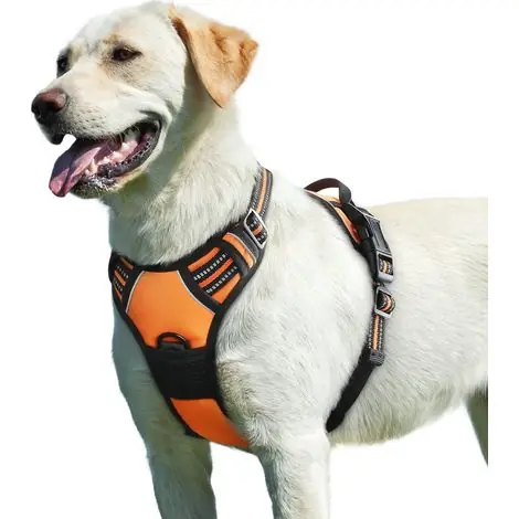 Coavas – Harnais pour chien moyen et grand – Anti-traction réglable – Poignée de contrôle – Nylon solide et respirant – Tour de poitrine 38-90 cm – Orange, L - Premium