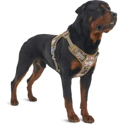 Livraison rapide - Sunxury – Harnais pour chien sans traction – Réglable, nylon durable – 4 anneaux de traction, points de pression rembourrés, maille respirante