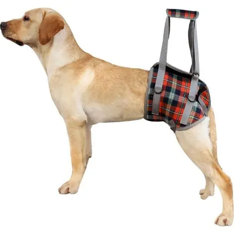 À ne pas manquer - Harnais de Soutien pour Chiens Réglable Harnais pour Chien Handicapé pour Les Jambes Arrière, Maille Harnais Levage avec Poignée pour l‘Aide Canine Réadaptation, Chiens Âgés, Blessés (S, Treill