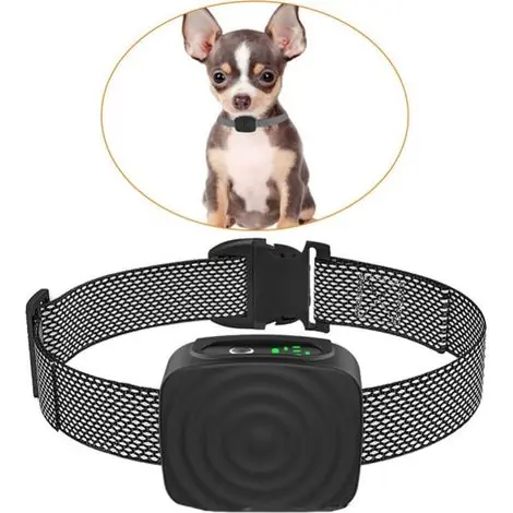 Collier pour chien de petite/moyenne taille, 5 à 15 lb, sans choc, rechargeable, anti-aboiement, avec sensibilité et force réglables, collier anti-aboiement - Paiement sécurisé