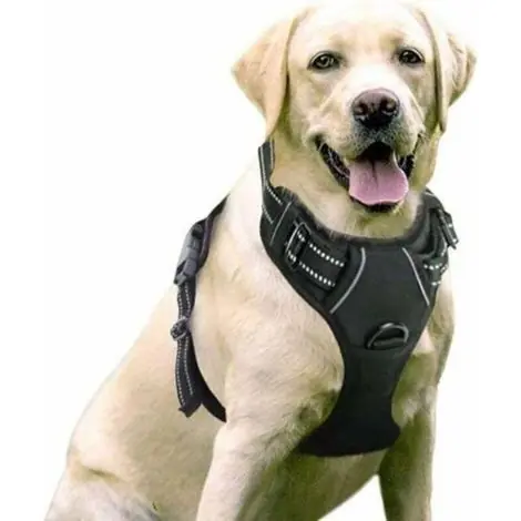 Noir XL Harnais Chien Anti Traction, Arnet pour Chien Facile à Mettre Harnais Réfléchissant Réglable avec Attache Devant Harnais pour Chien Moyen | Best-seller