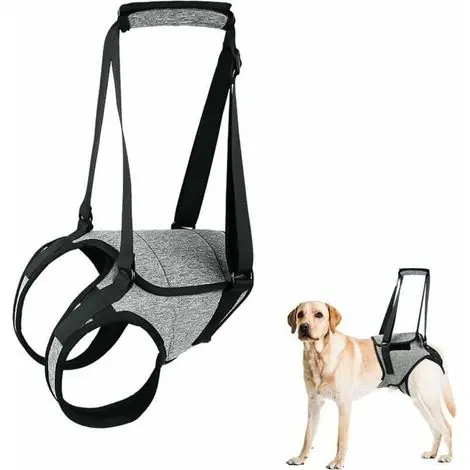 Harnais de soutien pour pattes arrière de chien, grand harnais avec poignée de transport, harnais ajustable pour chiots, soulageant la douleur et facilitant la rééducation post-opératoire – XL - Disponible maintenant