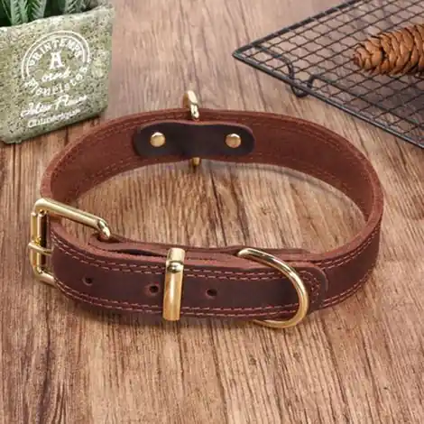 Collier pour chien en cuir véritable XXL – Rembourré en peau de mouton – Boucle en acier inoxydable – Pour Malamute, Golden Retriever, Labrador - Prix avantageux