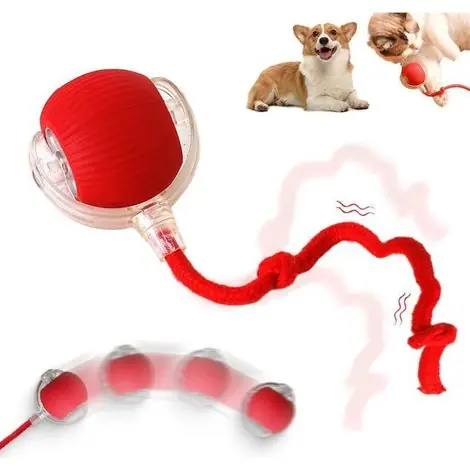 Derniers articles - BelleRise - Balle Interactive Chat - Nosheir - Balle Roulante 360° Intelligente - Jouet Anti-Morsure avec Corde - Pour Chat et Chien (Rouge)
