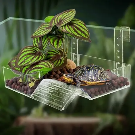 xixibuy Plateforme de Repos pour Tortue, Plateforme Tortue d‘eau pour Les Amateurs de Tortues, Turtle Bank Plateforme de Dock Flottante, Plate-Forme d‘escalade de Verdure simulée(Size - Achetez dès aujourd'hui