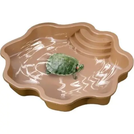 1 Bol alimentation, PP antidérapant, piscine repos, habitat tortue, accessoire reptile | Offre exceptionnelle