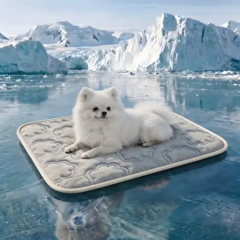 Tapis rafraîchissant pour chien forme nuage respirant, matelas été lavable pour chats et petits chiens,Gris,XS-40x30cm - Commandez maintenant