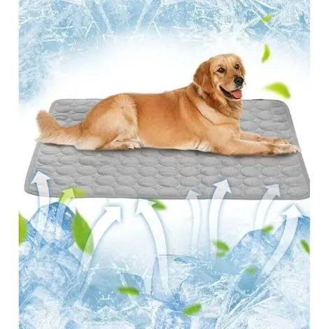 Pet Summer Ice Silk Cool Sleeping Pad Pet Sofa Cushion Floor Cushion Dog Ice Cushion Spring and Summer Cat Cooling Pad - Qualité professionnelle