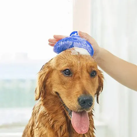 Derniers articles - Lot de 2 brosses de toilettage bleues pour chien - brosse de bain
