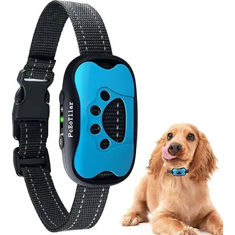 bleu , Collier Anti-aboiement Pour Chiens Rechargeable, Collier Dressage Pour Petit Moyen Grand Chien, Dtection Intelligente Des Aboiements Avec 2 - Qualité premium
