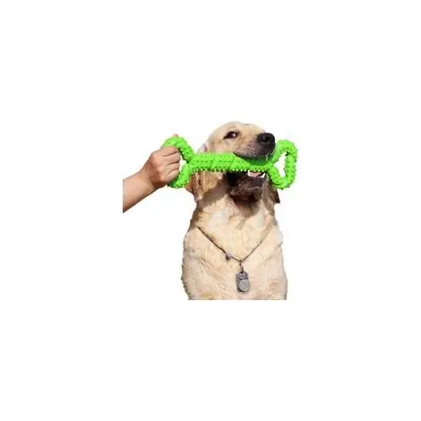Chien Jouets à mâcher Résistant en Caoutchouc 13 inch Os Jouet en Forme de Chien Chiots avec Convex Design Jouet Chien interactif Solide pour Les | Qualité supérieure