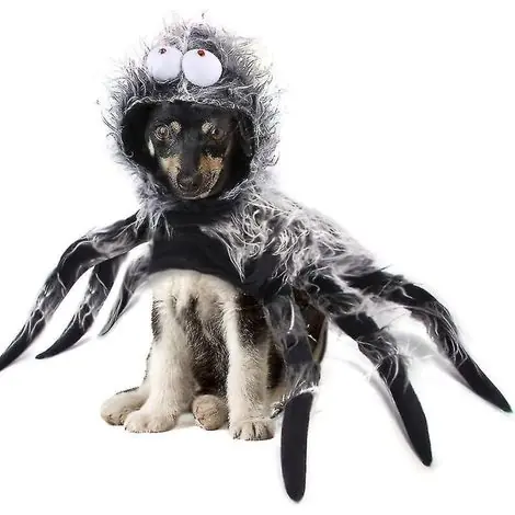 Déguisement d‘Halloween pour chiot/chiot araignée - Cape/manteau - Taille XL - Qualité premium