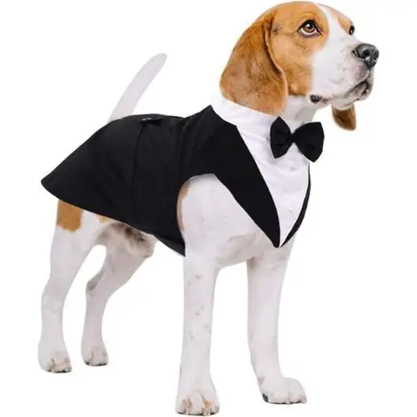Costume Élégant Chien Smoking Cérémonie Bandana Nœud Papillon Chemise Ajustable Taille Grand Moyen Noir Blanc -ULISEM - Recommandé