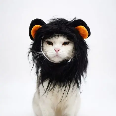 Déguisement lion pour animaux noir modèle 2 - Nouveau