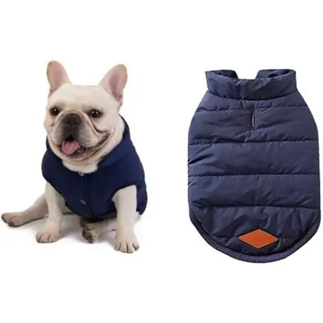 Envoi rapide | Aougo – Manteau d‘hiver pour chien – Veste chaude doublée en tissu coupe-vent – Taille XXL – Confort optimal pour bouledogue français et carlin