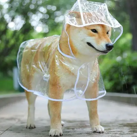 Manteau imperméable pour chien avec capuche en nylon transparent - Pour chiens de petite et moyenne taille (M, Blanc) - Dernier arrivage