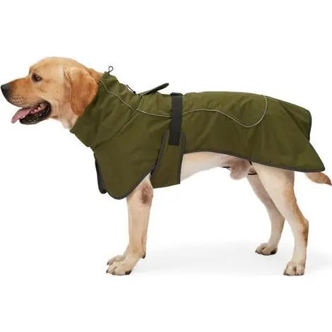 BelleRise - Veste pour chien imperméable, manteau chaud et réfléchissant pour temps froid, doublure polaire douce pour le camping- Taille S | Plus que quelques unités