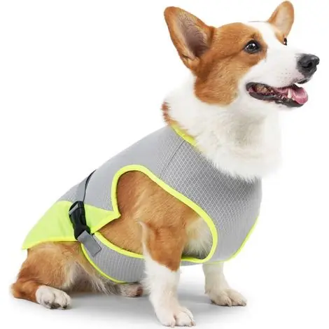 Déstockage | Gilet rafraîchissant pour chien, gris clair - Taille L