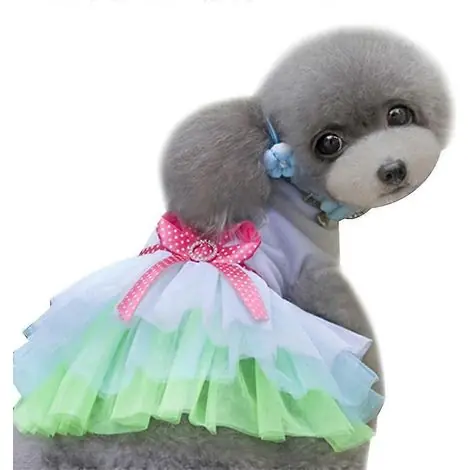 Expédition express - 2 vêtements pour chien printemps-été