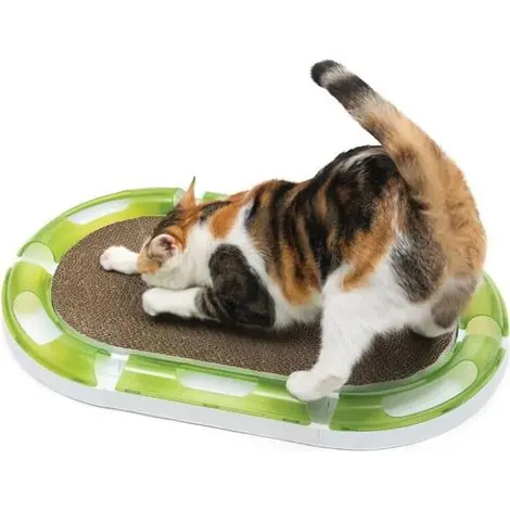 Paiement sécurisé - Cat-it Griffoir Ovale Senses 2.0 Vert Durable
