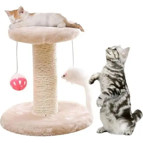 Arbre à Grimper Griffoir pour Chats,Arbre à Chat avec Plateforme en Peluche,Arbre à Chat,Griffoir pour Chats | Direct usine