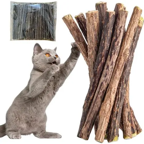 Achetez dès maintenant - Bâtonnets à mâcher pour chat en bois de vigne, soin dentaire et aide à la digestion, 40 pièces