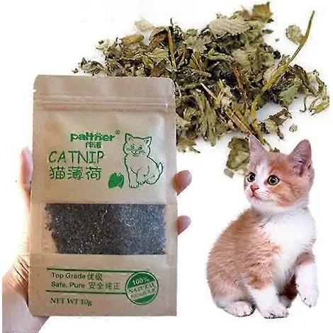 Promo exceptionnelle - Jusqu‘à 10 sachets d‘herbe à chat naturelle de haute qualité (10 g chacun), non toxique, à l‘arôme de menthe, pour une interaction optimale avec votre chat. Un accessoire idéal pour la santé de votre