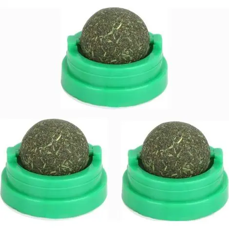 Lot de 3 Cataire Naturel adapté à la régulation de l‘humeur du Herbe à chat, - Offre bientôt terminée