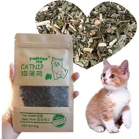 Achetez dès maintenant | Jusqu‘à 10 sachets d‘herbe à chat naturelle de haute qualité (10 g chacun), non toxique, à l‘arôme de menthe, pour une interaction optimale avec votre chat. Un accessoire idéal pour la santé de votre