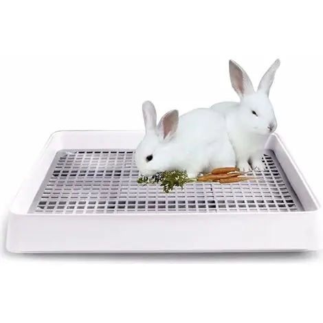 Commandez maintenant | Linghhang – Bac à litière extra large pour lapin et chat – Dimensions 38,3 x 30,9 x 6,5 cm – Plastique PP durable – Conception peu encombrante