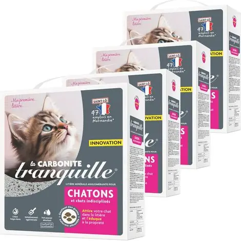 Litière pour Chaton Ultra-agglomérante et Super absorbante La Carbonite Chatons - 4,5 litres - Lot de 4 | Achetez dès maintenant