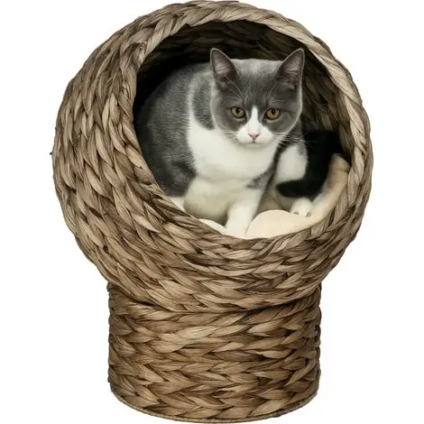 Disponible dès maintenant - Panier à chat en jacinthe d‘eau tressée avec coussin, lit pour animal domestique 40 x 37 x 51 cm café